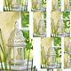 10 Moroccan Style Lantern Creamy White Candleholder Wedding Centerpieces 12tall