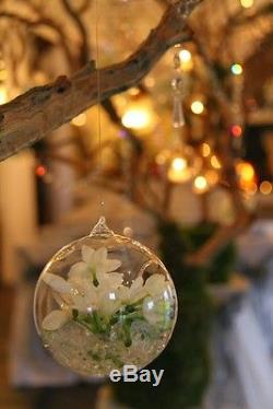 20 Clear 10cm Glass Hanging tealight candle holder succulent terrarium cactus