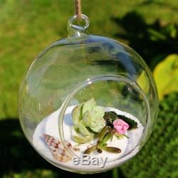 200pcs Hanging Clear Glass Globe Ball Candle Holder Flower Air Plant Terrarium