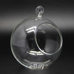 200pcs Hanging Clear Glass Globe Ball Candle Holder Flower Air Plant Terrarium