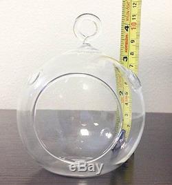 3.5 Inch Air Plant Terrarium/Candle Holder Flat Bottom 1 Hook Glass Orb (6 PCS)