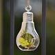Clear Bulb Hanging Glass Terrarium Candle Holder Airplant Garden
