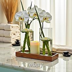Clear Glass Cylinder Vases 48-Pack Floating Candle Holders