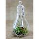 Glass Bulb Terrarium Hanging Air Plant Candle Holder