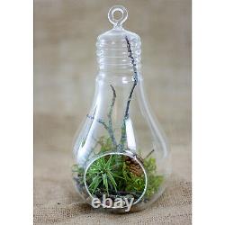 Glass Bulb Terrarium Hanging Air Plant Candle Holder