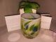 Glassybaby Seahawks Hawkfetti Votive Candle Holder Retired Best Example Look