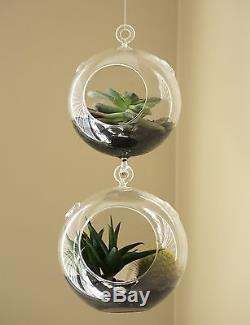 Hanging Globe Round Glass Terrarium Air Plant Candle Holder, Clear
