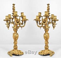 Pair of French Louis XV Style (19th Cent) Bronze Dore 5 Arm Candelabra