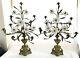Romantic 19th C. Pair Of Brass 9 Arm Floral Candelabras With Milk Glass Flowers
