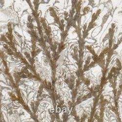 Set of Three Brown And Clear Botanical Leaf Glass Tabletop Votive Candle Holders