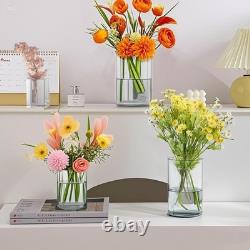 Sleek 36pc Clear Glass Vases Set Ideal for Centerpieces & Candle Holders Sleek 36pc Clear Glass Vases Set Ideal for Centerpieces & Candle Holders