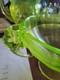 Vaseline Uranium Glass Fruit Bowl With Elephant Candle Holders
